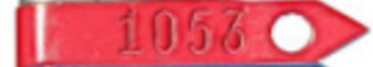 101-200RD