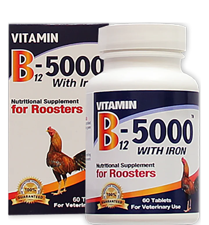 B12-66-1
